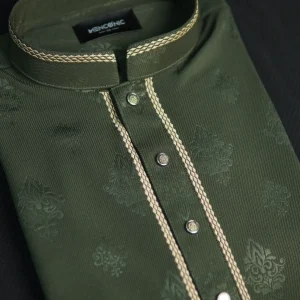 Embroidery Panjabi 1